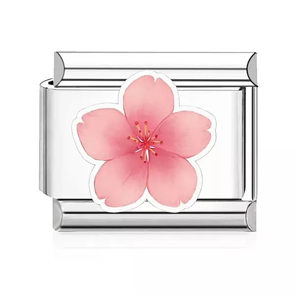 Cherry Blossom