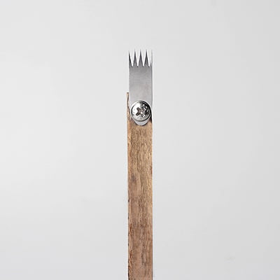 Sara Scoring Tool