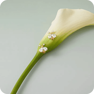 Zircon Bee Earrings