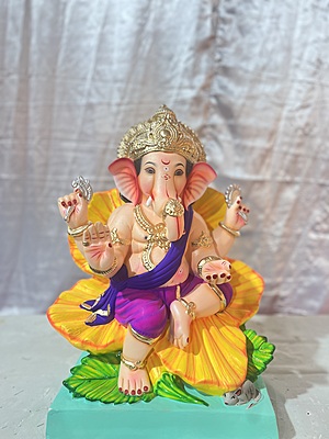 POP20250015 POP20250015