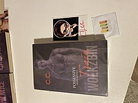 Possessive Series 3 (Train Wolkzbin) by C.C