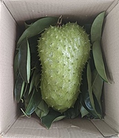 Mull Seetha | முள் சீத்தா