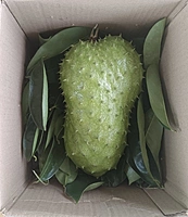 Mull Seetha | முள் சீத்தா