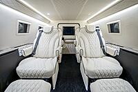 Armored Inkas Sentry Civilian