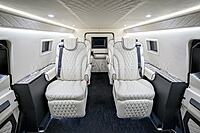 Armored Inkas Sentry Civilian