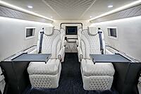 Armored Inkas Sentry Civilian