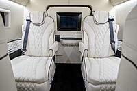 Armored Inkas Sentry Civilian