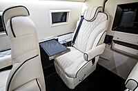 Armored Inkas Sentry Civilian