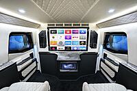 Armored Inkas Sentry Civilian