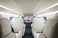 Armored Inkas Sentry Civilian