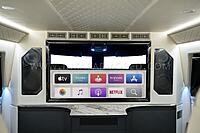 Armored Inkas Sentry Civilian