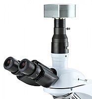 iScope darkfield iScope darkfield