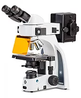 iScope fluorescence
