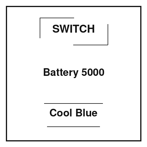Switch Battery 5000 Cool Blue