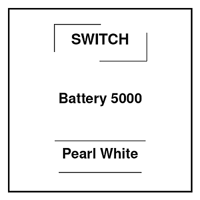 Switch Battery 5000 Pearl White