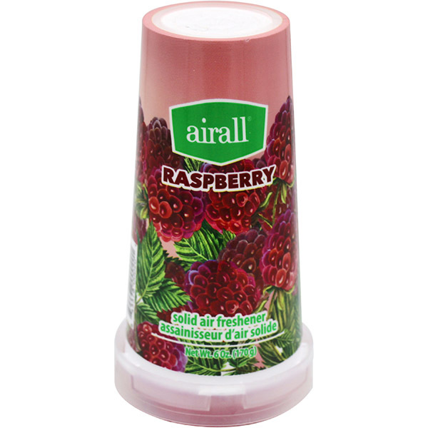 Airall Apple Cinnamon Solid Air Freshener 170g [12/Display]