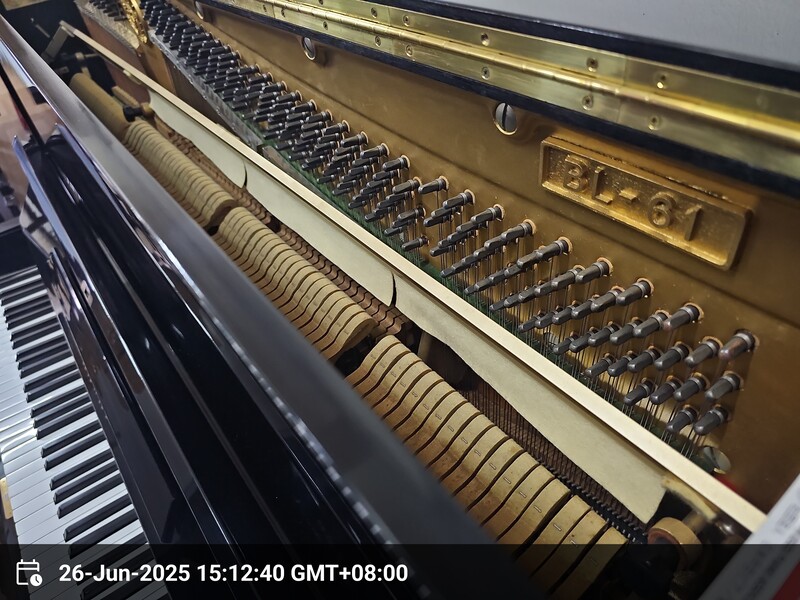 Kawai BL61