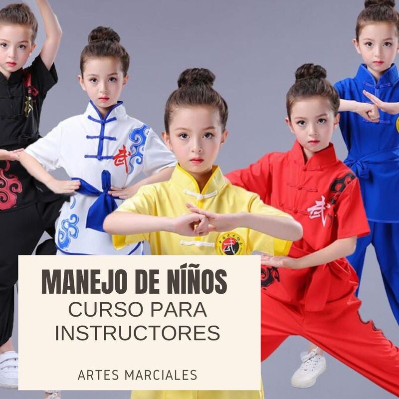Curso para manejo de niños en las artes marciales