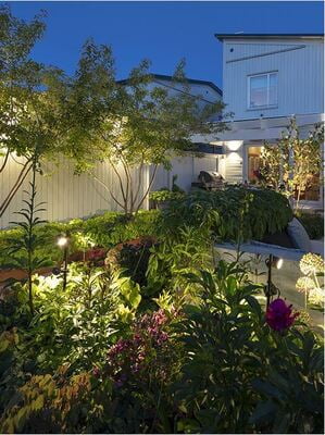 in-lite Mini Scope Duo in-lite Mini Scope Duo