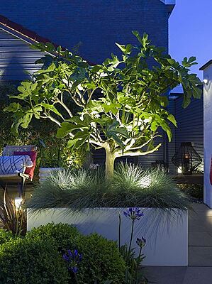 in-lite Scope in-lite Scope