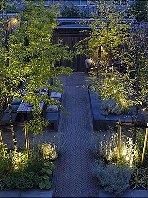 in-lite Scope in-lite Scope