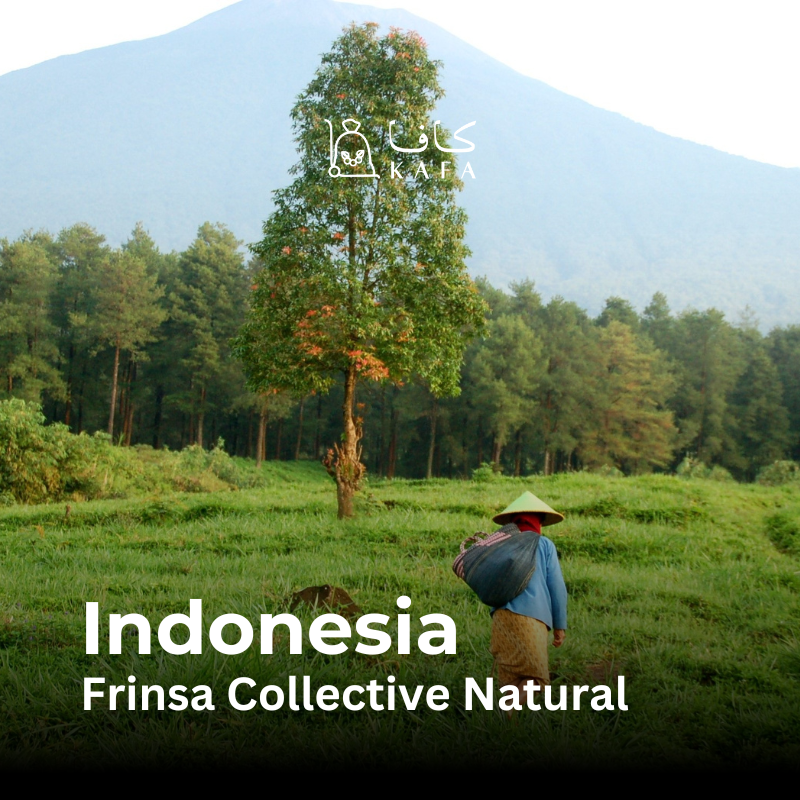 Indonesia - Frinsa collective Natural (60KG) - E240361