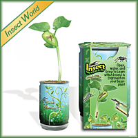 Insect World Growing Kit Magic Plant Treasures