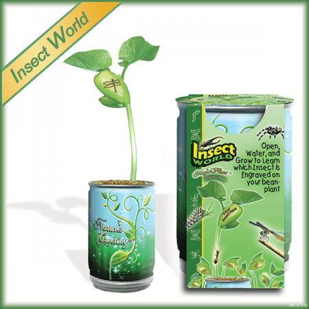 Insect World Growing Kit Magic Plant Treasures