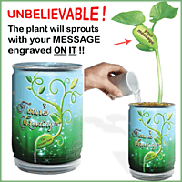Insect World Growing Kit Magic Plant Treasures