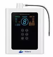 Blubery Ioniser - Premium