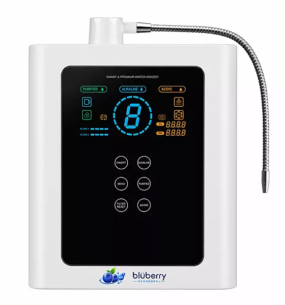 Blubery Ioniser - Premium