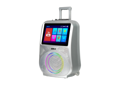 Portable 14.1" Speaker with Microphones and 60W Power