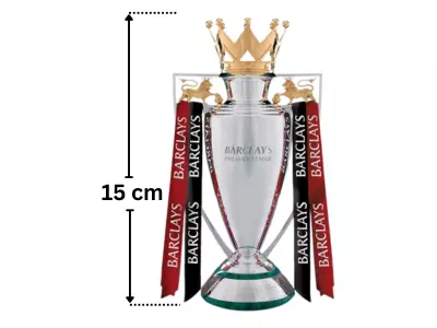 Premier League trophy sports football 15cm