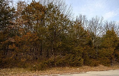 South Emerald Cove - Land Between The Lakes - Izard County Arkansas