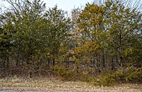 South Emerald Cove - Land Between The Lakes - Izard County Arkansas