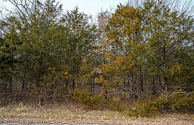 South Emerald Cove - Land Between The Lakes - Izard County Arkansas