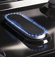 GE® JGBS66DEKBB 30" Free-Standing Gas Range GE® JGBS66DEKBB 30" Free-Standing Gas Range