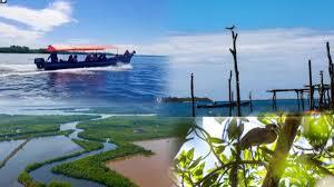 Gran Oportunidad de Inversión! Terreno Agrícola y Ganadero en Jiquilisco, Usulután