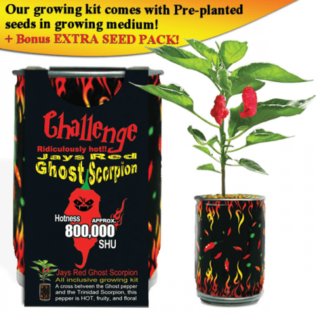 Red Jays Ghost Scorpion Pepper Growing Kit