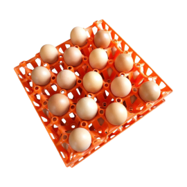 AgriBloom Table Eggs-Jumbo AgriBloom Table Eggs-Jumbo