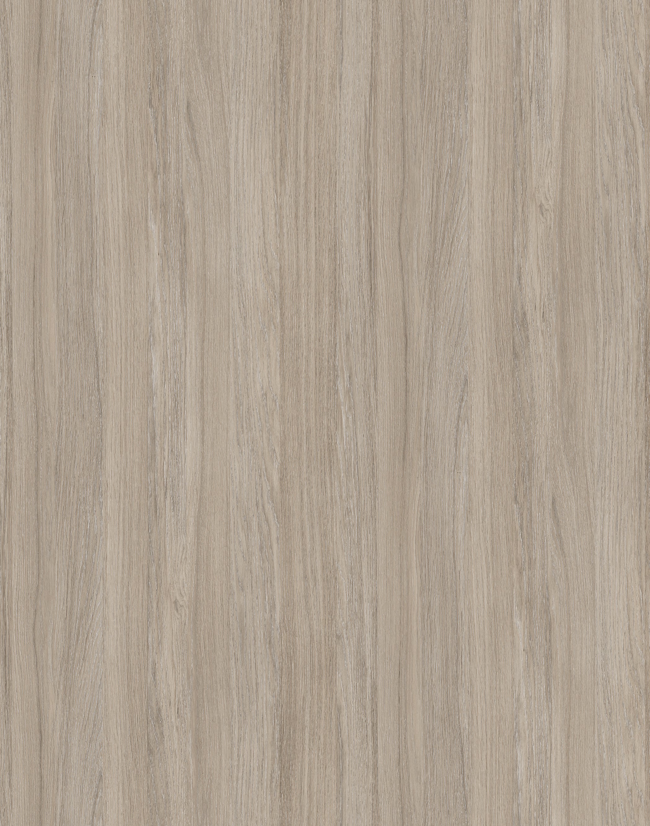 OYSTER URBAN OAK
