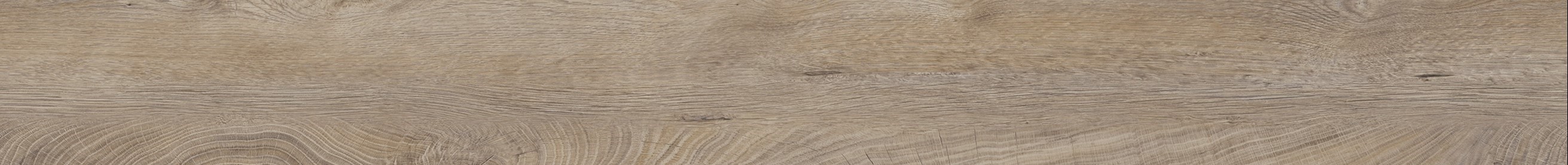 CONTEMPO EDGEBAND-Raw Endgrain Oak/22MM/1MM