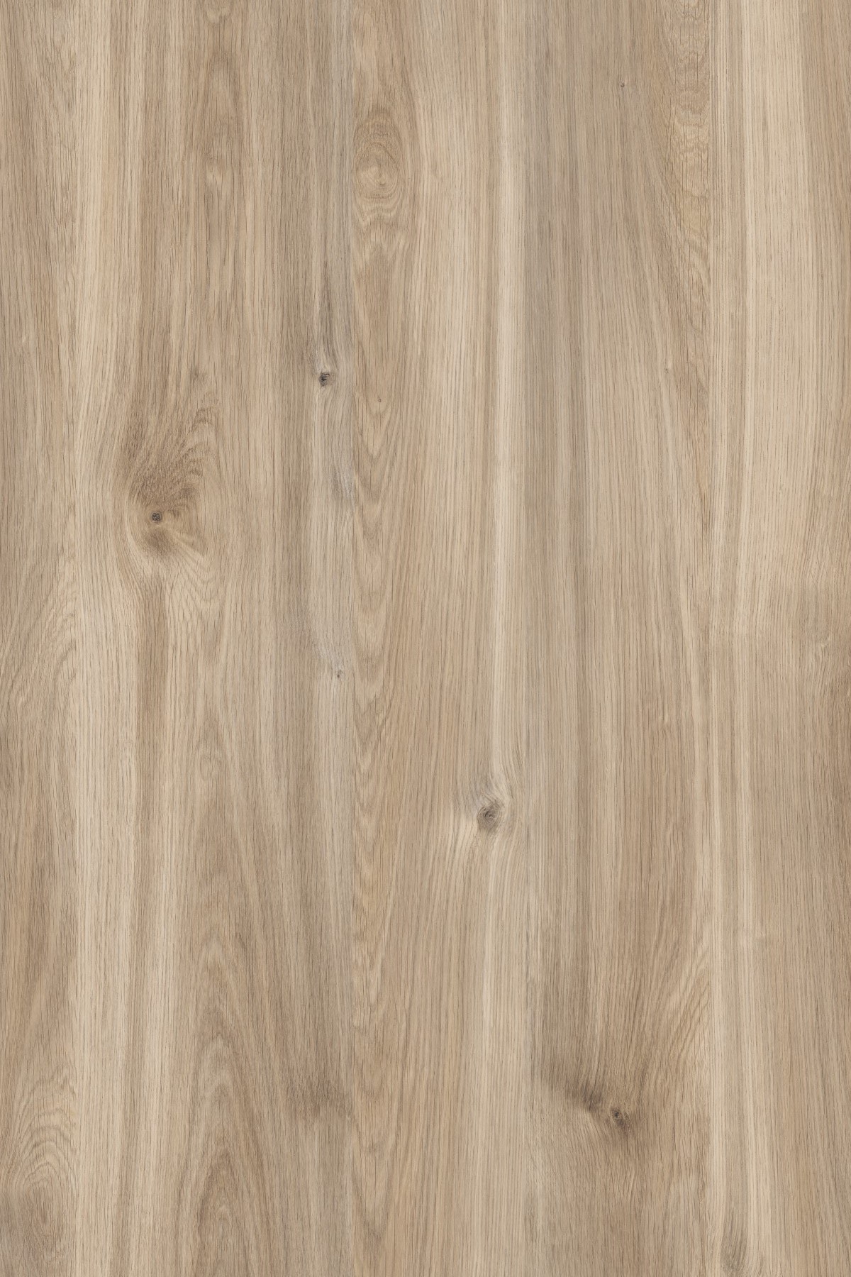 HONEY CASTELLO OAK/5X8FT