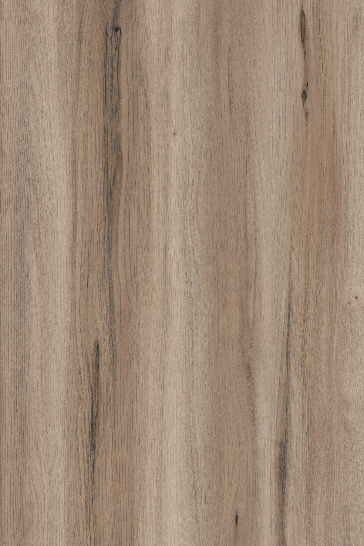 NATURAL AURORA ELM/5X8FT