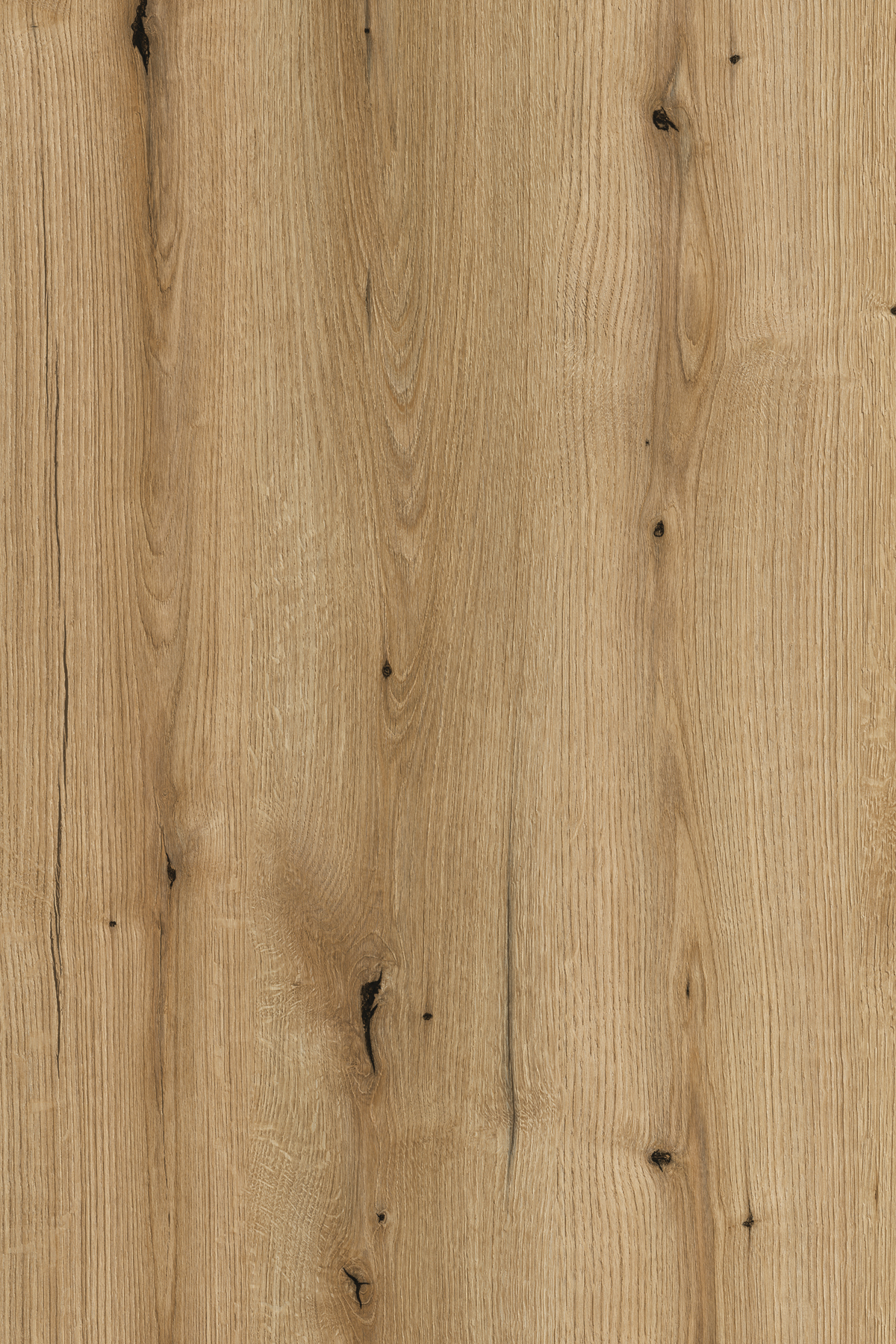 COAST EVOKE OAK/5X8FT