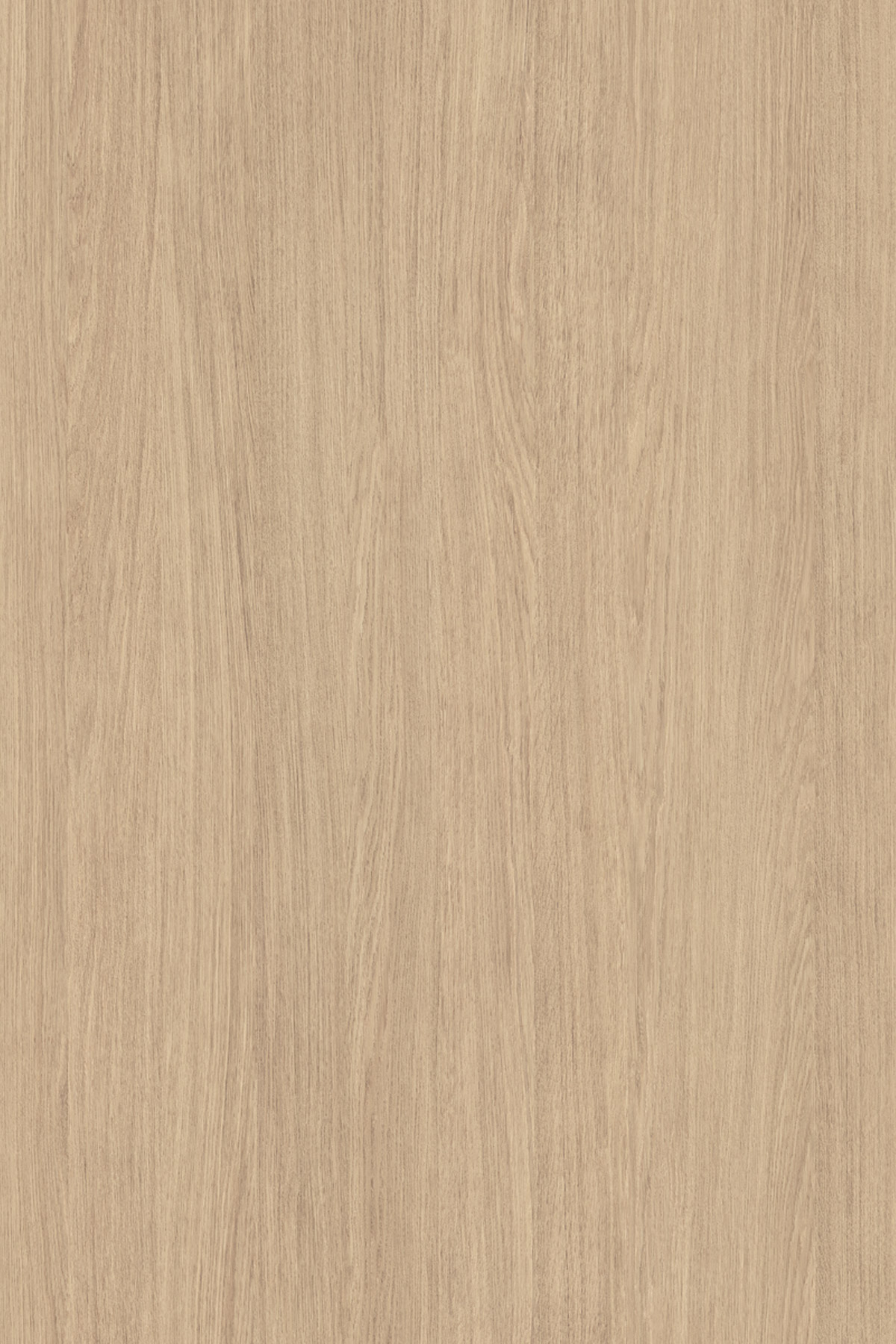 SILK PRIMAVERA OAK