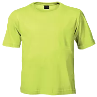 145g Crew Neck T-Shirt Kiddies