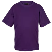 145g Crew Neck T-Shirt Kiddies