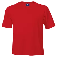 145g Crew Neck T-Shirt Kiddies