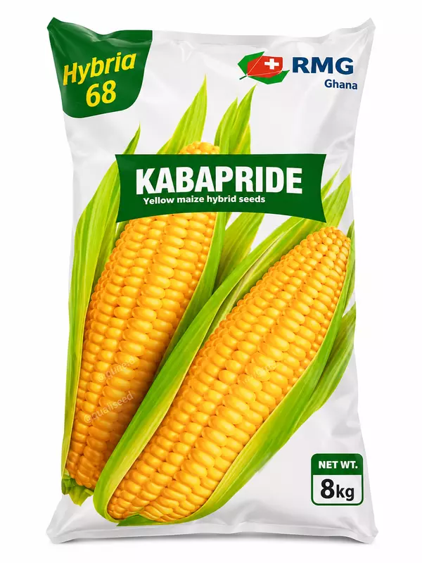 YELLOW MAIZE KABAPRIDE